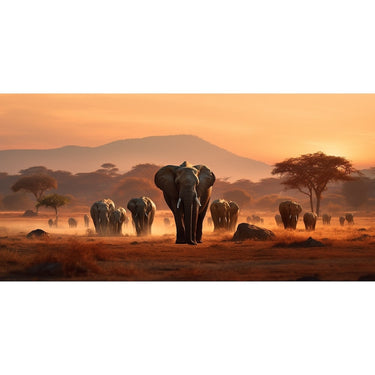 Big Elephant Canvas